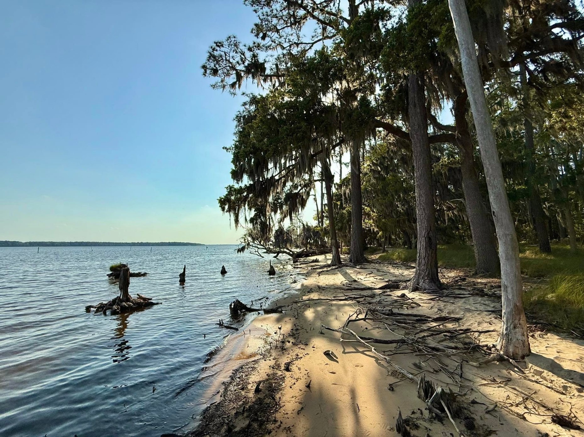 The beach at Good Creek during the day.