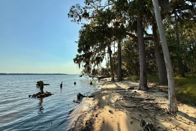 The beach at Good Creek during the day.
